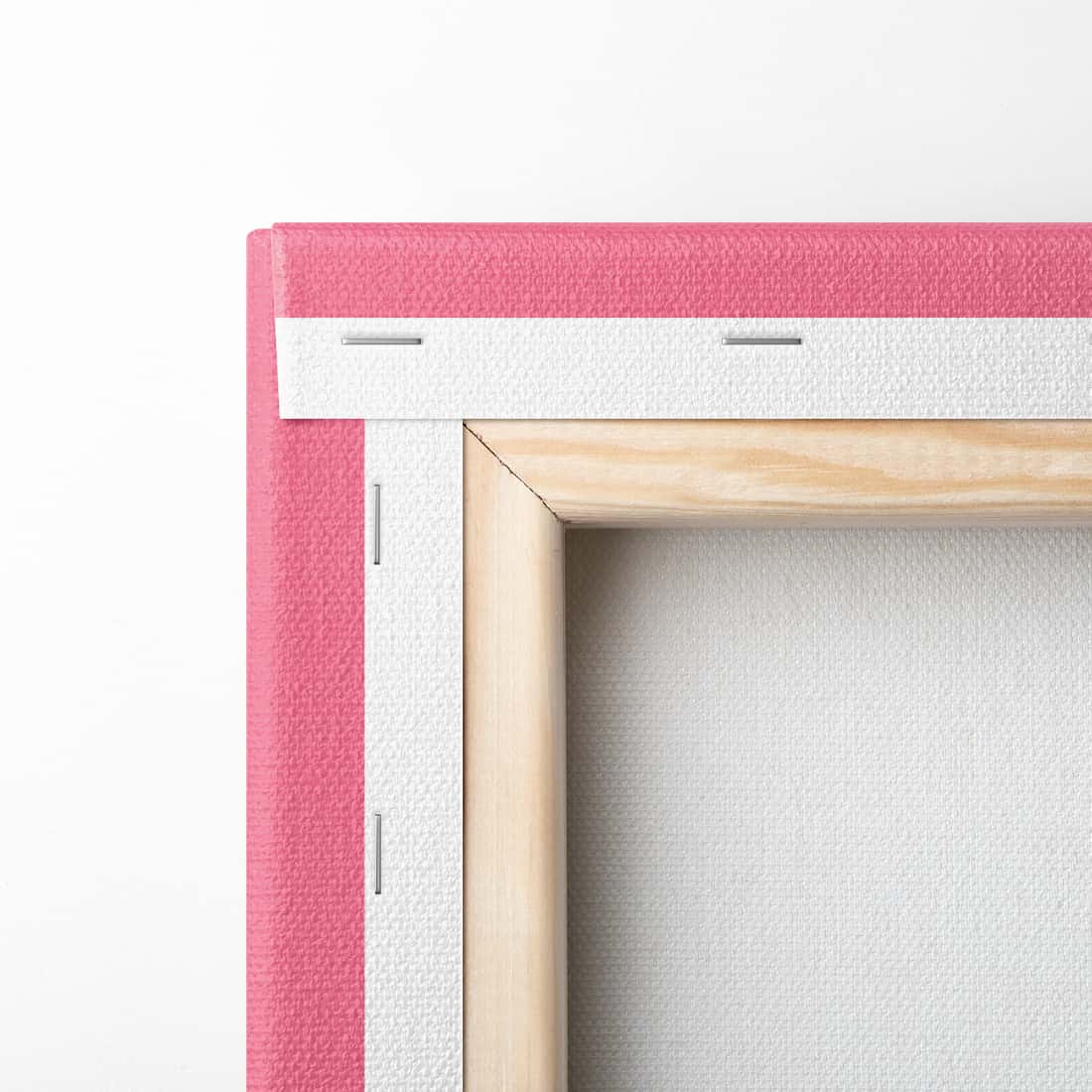 "Rand der Gesellschaft" - Taube & Ratte (Leinwand)