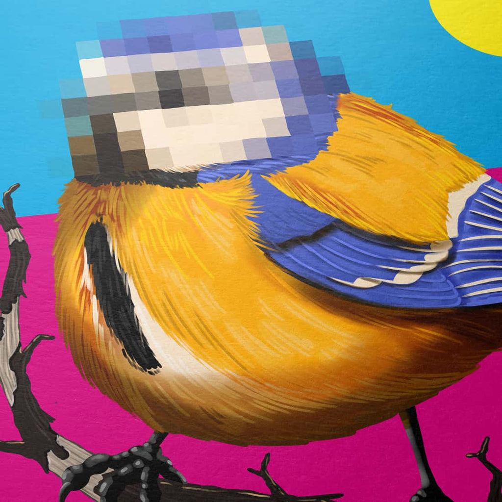 "Anonymität" - Meise