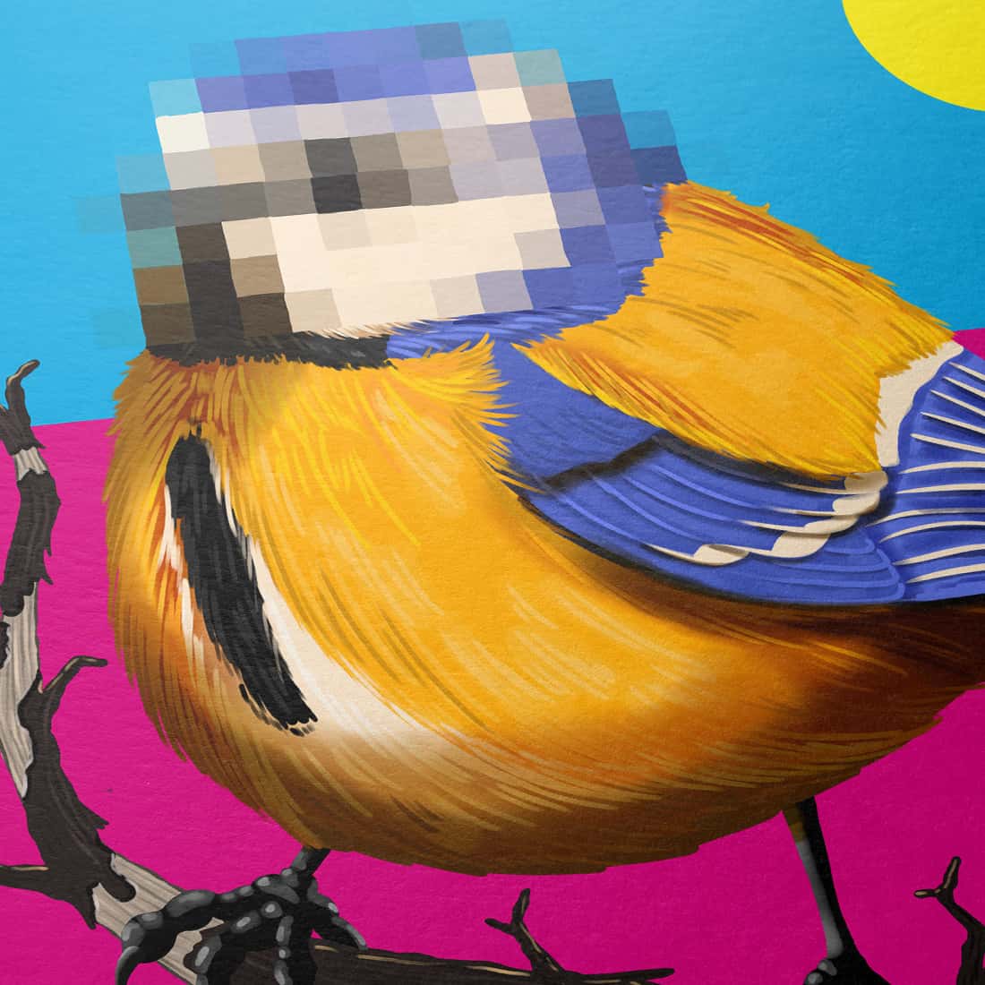 "Anonymität" - Meise