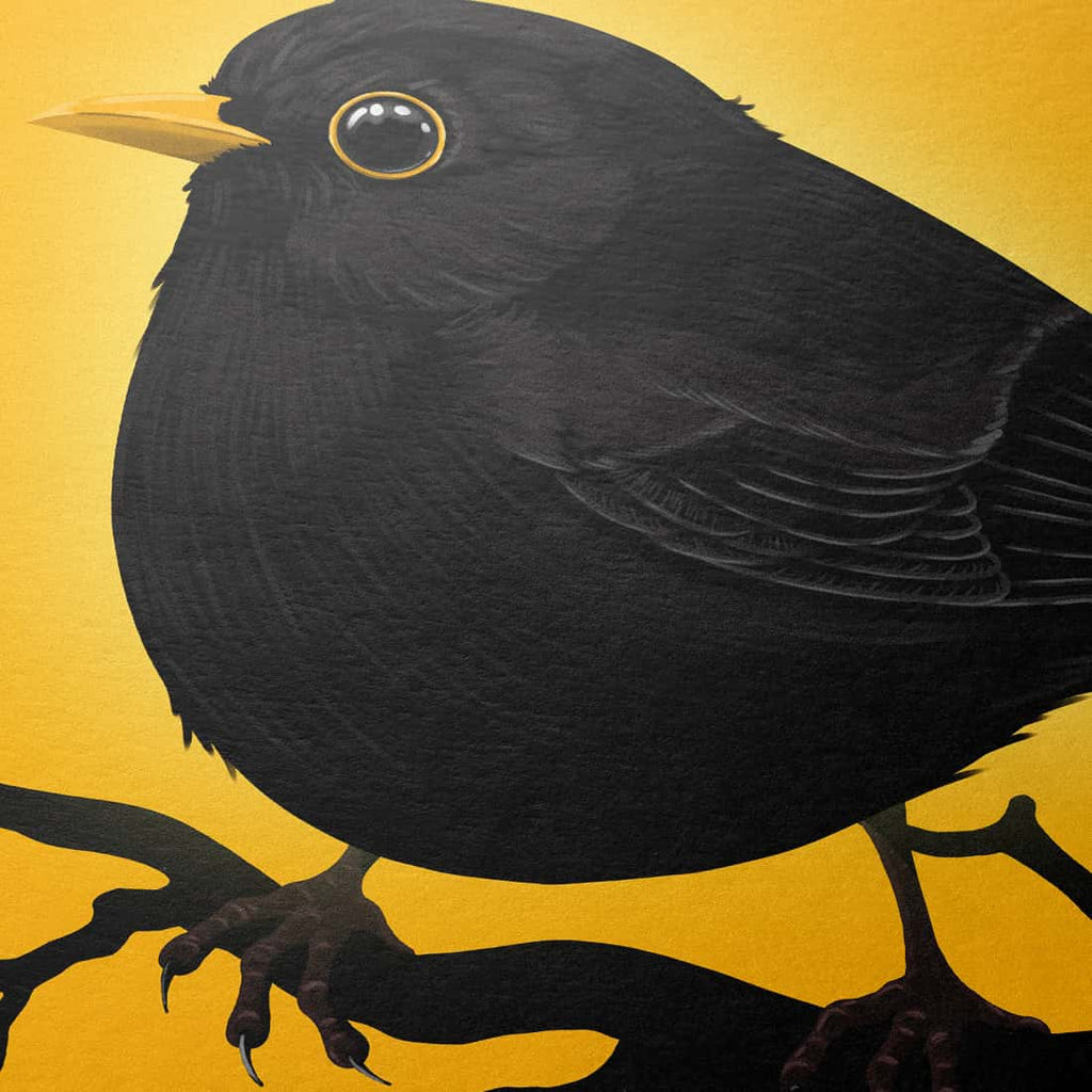 "Verliere den Boden" - Amsel