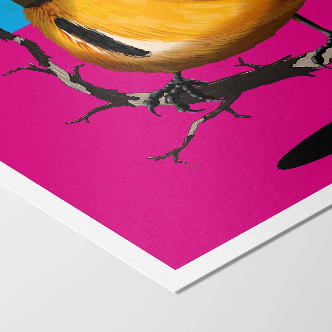 "Anonymität" - Meise