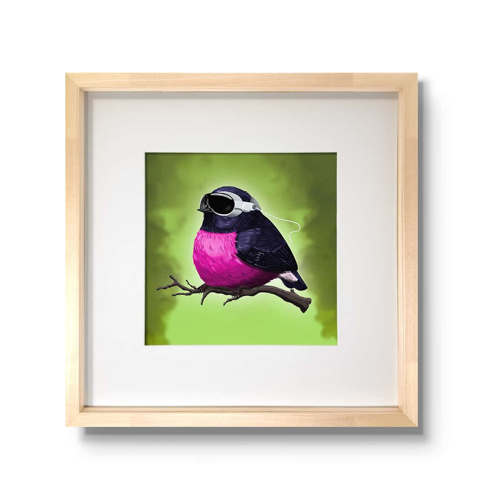 "Vision Pro" - Rosenbrust-Schnäpper