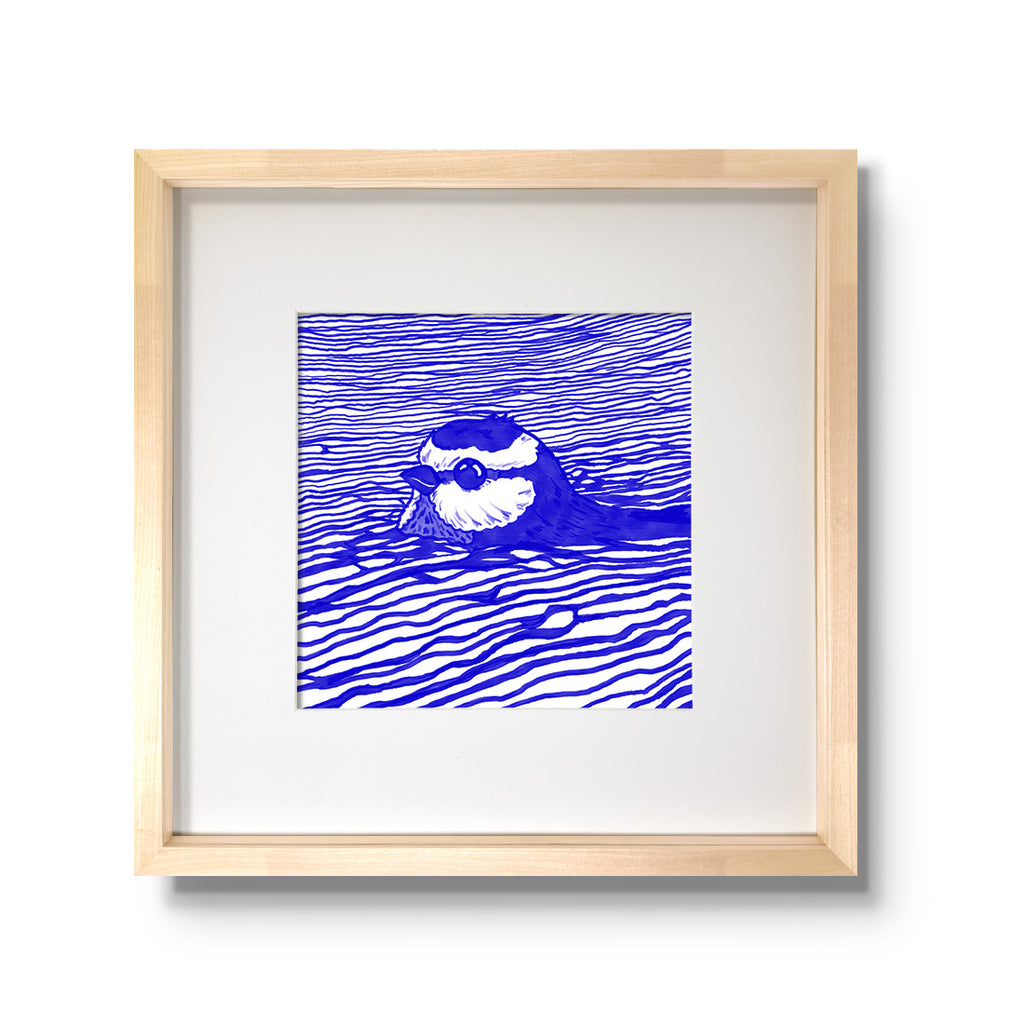 „Gedankenversunken“ - Blaumeise