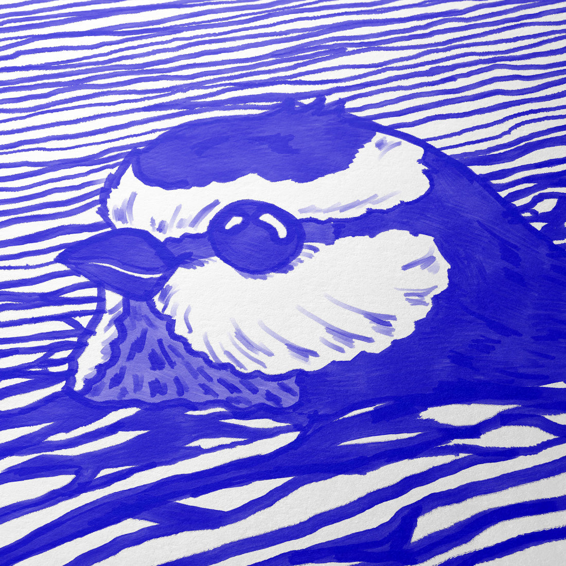 „Gedankenversunken“ - Blaumeise