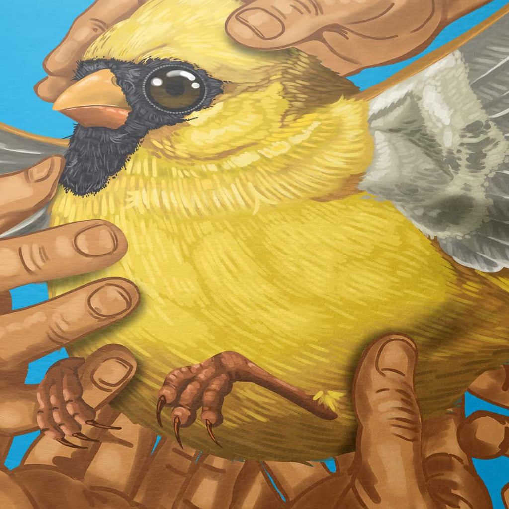 "Freiheit" - Kardinal