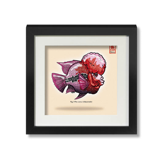 Flowerhorn-Fisch